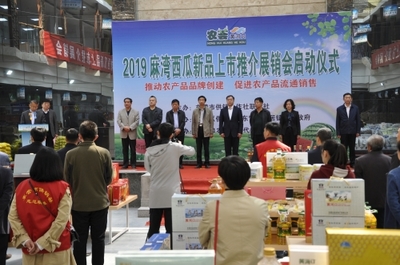 東營市供銷合作社聯合社 工作動態 市供銷社舉辦2019黃河口農產品品牌創建麻灣西瓜新品上市推介周活動啟動儀式