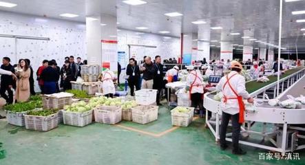 “云菜集采聯盟”啟動 300余家生鮮配送公司助力云菜出滇