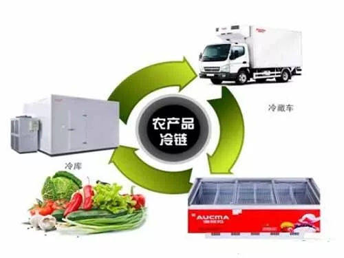 農產品的冷鏈物流體系如何搭建?