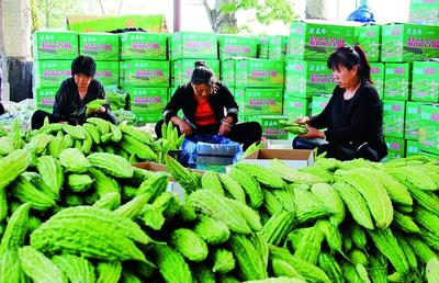 2020年黃河金三角(曲沃)國際果蔬博覽會新聞發布會成功舉辦