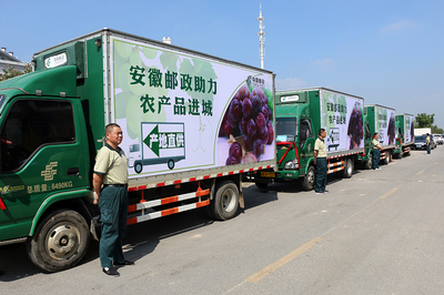 安徽郵政助力農(nóng)產(chǎn)品進(jìn)城 肥西17萬斤紅提有了銷路