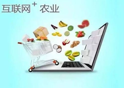 互聯網 助農增收