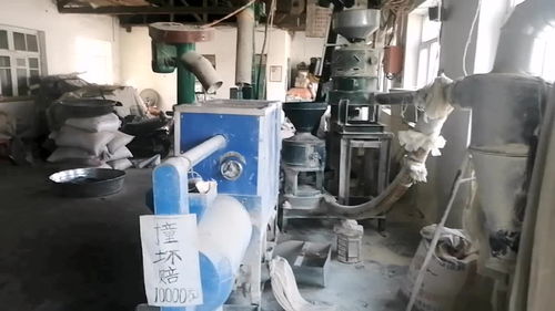 去加工廠磨米,自助服務,5元磨一袋水稻 老板贈送一個袋子