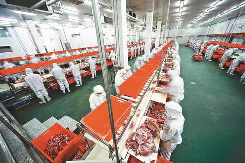 農洽會打開 國際朋友圈 , 國際農都 駐馬店再出發