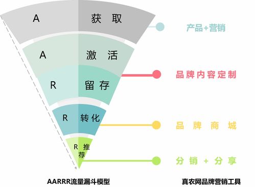 真農觀察 一切生意基于流量和信任