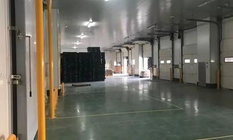 中冷物流丨順勢(shì)而為 不斷創(chuàng)新,豎立產(chǎn)品服務(wù)標(biāo)準(zhǔn)化新標(biāo)桿