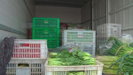 直擊現場 菏澤市成武縣首家綜合性農產品物流園試營業