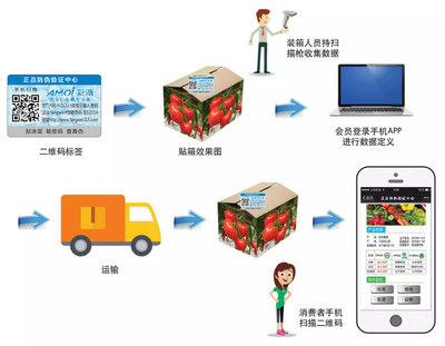 二維碼溯源系統 讓安全看得見的產品流通服務