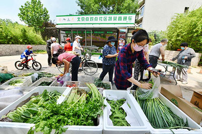 統一標識、高效配送——300噸鮮菜直送豐臺社區助力民生