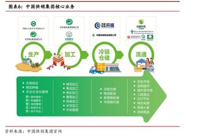 公告提示多重風險！供銷社概念龍頭八連板，產品流通服務引關注